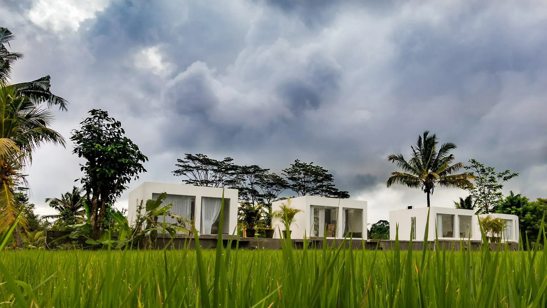 White Cubes Villa Ubud